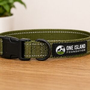 Dog Collar