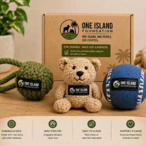 Pet Toy Set