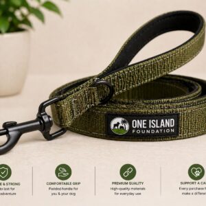 Pet Leash